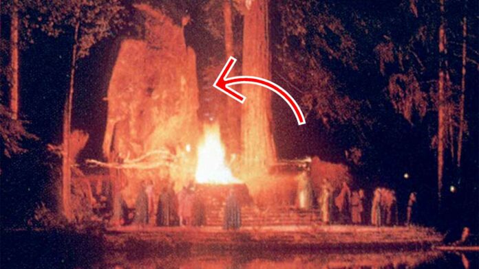 bohemian-grove