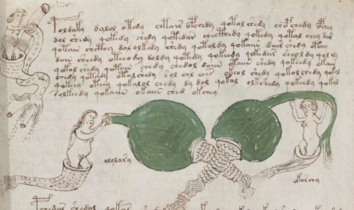 Manoscritto Voynich